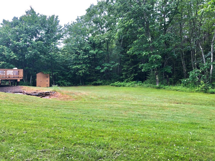 Back Yard behind deck